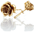 Real rose in 14K gold